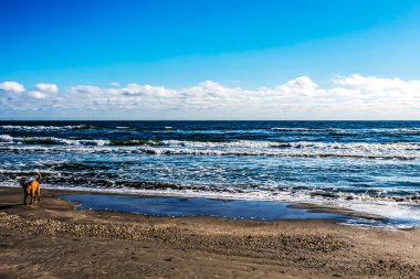 Güzel deniz manzarası