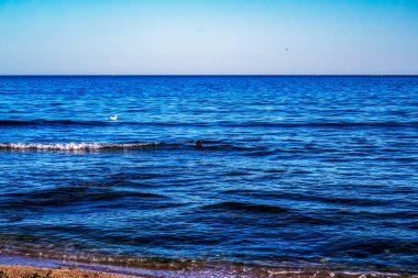 Deniz kıyısında. Güzel yaz manzarası.