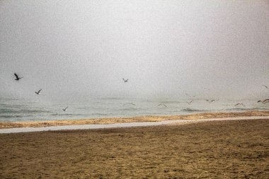 Güzel deniz manzarası