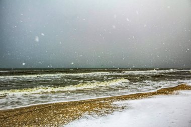 Kumsalda fırtına, kışın baltık denizi.