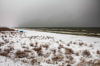 Kışın baltık kıyıları