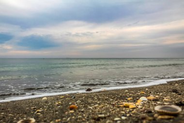 Yazın deniz kıyısında