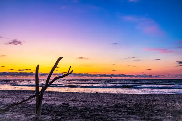 Gün batımında güzel bir kumsal manzarası, bir ağaç ve arka planda bulutlu bir gökyüzü.