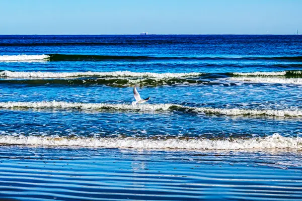 Deniz dalgaları Beach
