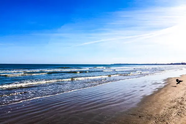 Deniz plajı ve güzel deniz..