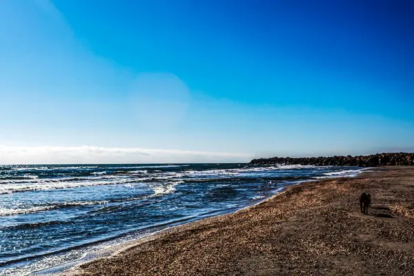Deniz ve kumsalı olan güzel bir sahil.