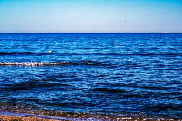 Deniz kıyısında. Güzel yaz manzarası.