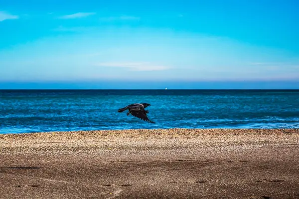 Martılı güzel bir deniz manzarası.