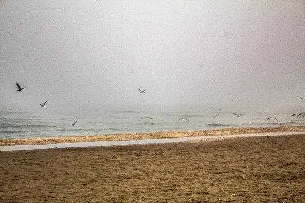 Güzel deniz manzarası