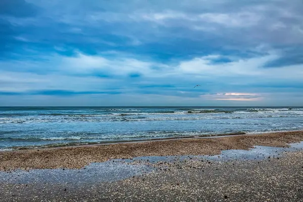 Güzel deniz kıyısı. doğa arkaplanı