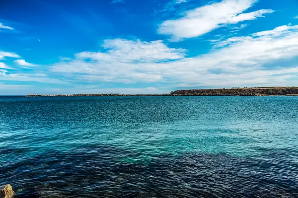 Deniz kabuğunun güzel manzarası