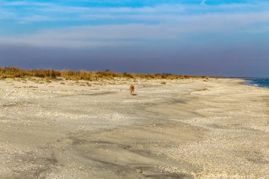 Kumsalın güzel manzarası