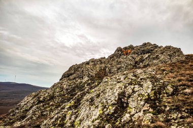 güzel dağ manzarası, doğa arka planı