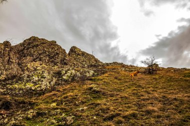 Dağların güzel manzarası