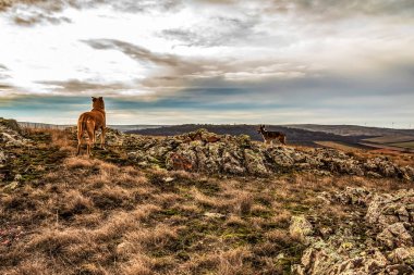 Dağlarda güzel bir gün batımı