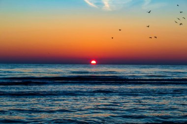 Martılarla denizde gün batımı