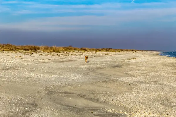 Kumsalın güzel manzarası