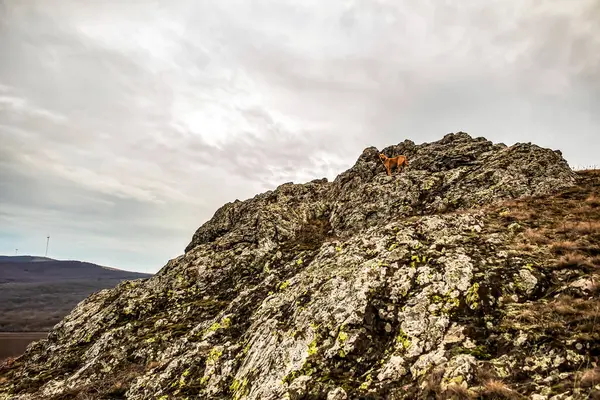 güzel dağ manzarası, doğa arka planı