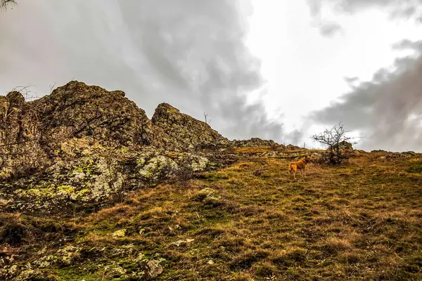 Dağların güzel manzarası