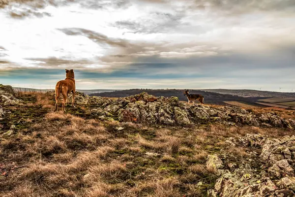 Dağlarda güzel bir gün batımı