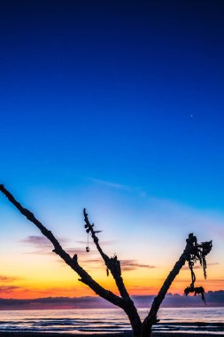 Ormanda güzel bir gün batımı