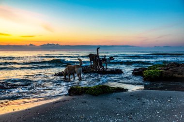 Endonezya 'nın Bali adasında güzel bir gün batımı.