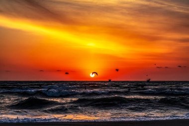 Denizin üzerinde güzel gün batımı