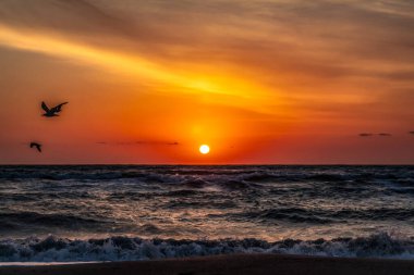 Deniz kıyısında gün doğumu