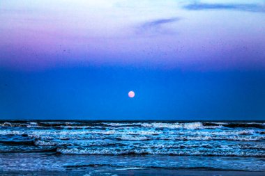 Sahildeki deniz dalgaları, günbatımı arka planı