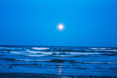 Sahildeki deniz dalgaları.