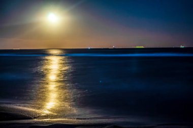 Baltık Denizi 'nin gece manzarası.