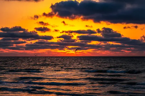 Denizin üzerinde dramatik bir gün batımı