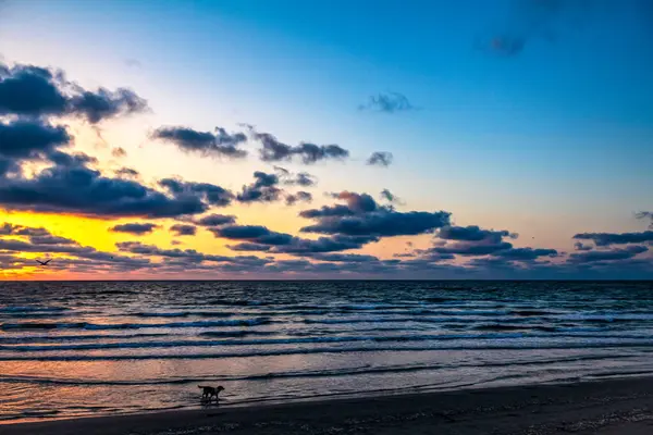 Denizin kumsalında gün doğumu