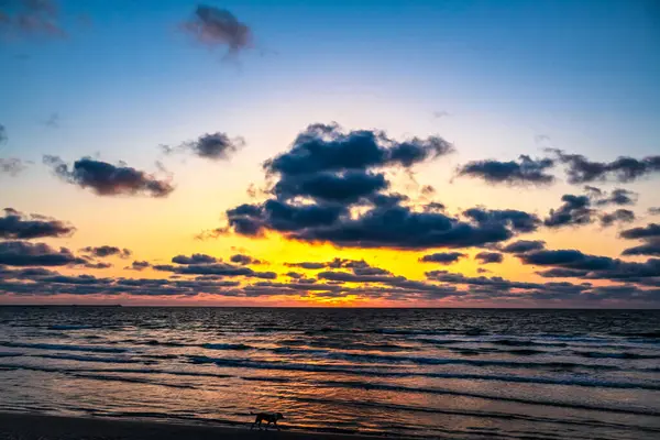 Denizin kumsalında gün doğumu, Sabahın güzel gündoğumu
