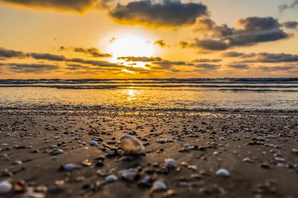Sahilde güzel bir gün batımı