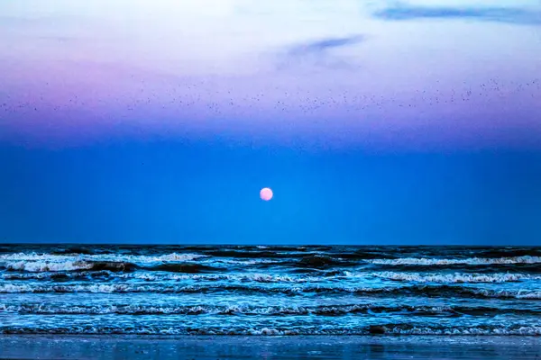 Sahilde güzel bir gün batımı