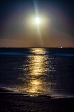 Denizde gün batımı