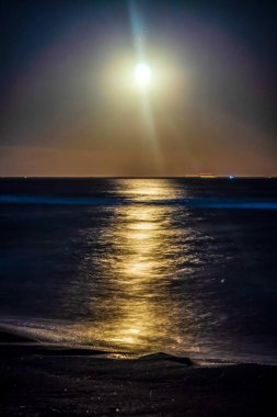 Güzel deniz manzarası