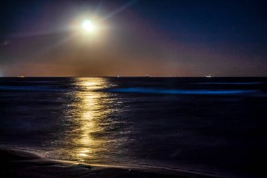Geceleyin aya ve denize,.