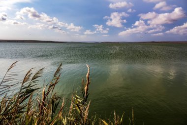 Güzel göl manzarası