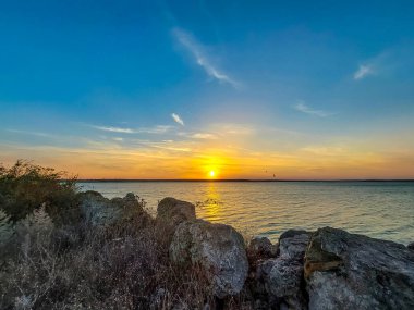 Denizde gün batımı Ağacı ve bulutlu gökyüzü