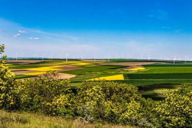 Yeşil çimenli güzel bir arazi manzarası