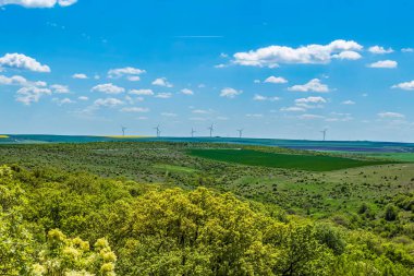 Mavi gökyüzü ile yeşil bir çayırın havadan görünüşü