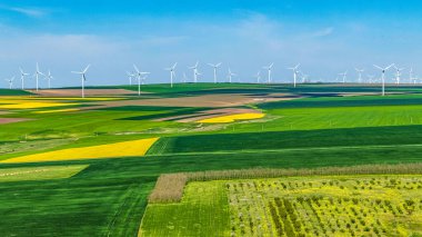 Yeşil bir alanda rüzgar türbinlerinin hava görüntüsü