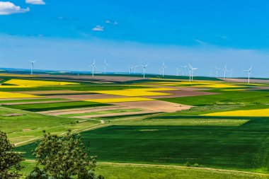 Polonya 'daki rüzgar türbinlerinin ve sarı kolza tohumu tarlalarının hava görüntüsü