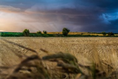 Kırsal manzarası çok güzel.