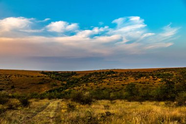 Ağacı ve bulutlu gökyüzü olan güzel bir manzara.