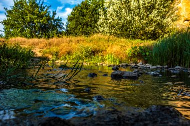 Ormandaki bir kanyonda nehir.