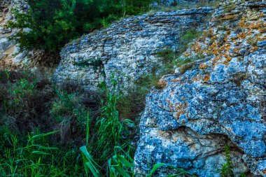 Sahanın ortasındaki kayanın yakın çekim görüntüsü.