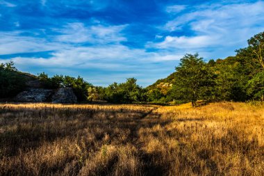 Ağaçlar ve ormanlarla dolu güzel sonbahar manzarası